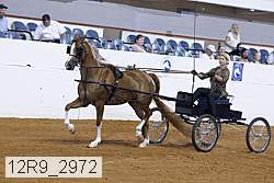 12r9_2972 proof