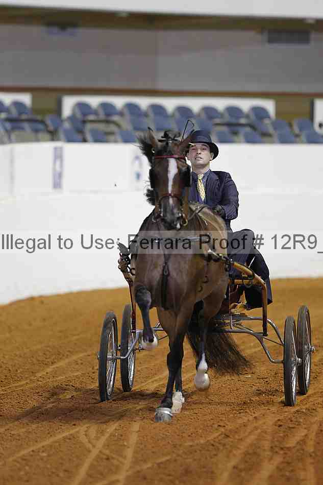 Proof 12r9_2977