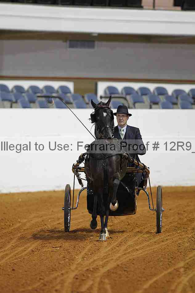Proof 12r9_2978