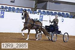 12r9_2985 proof