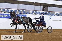 12r9_2988 proof