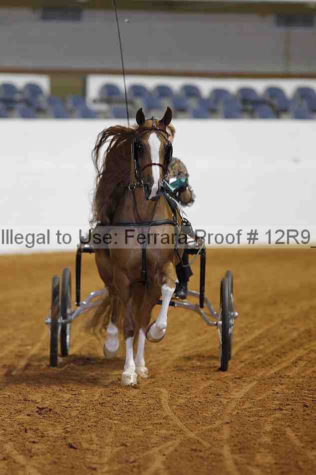 Proof 12r9_2993