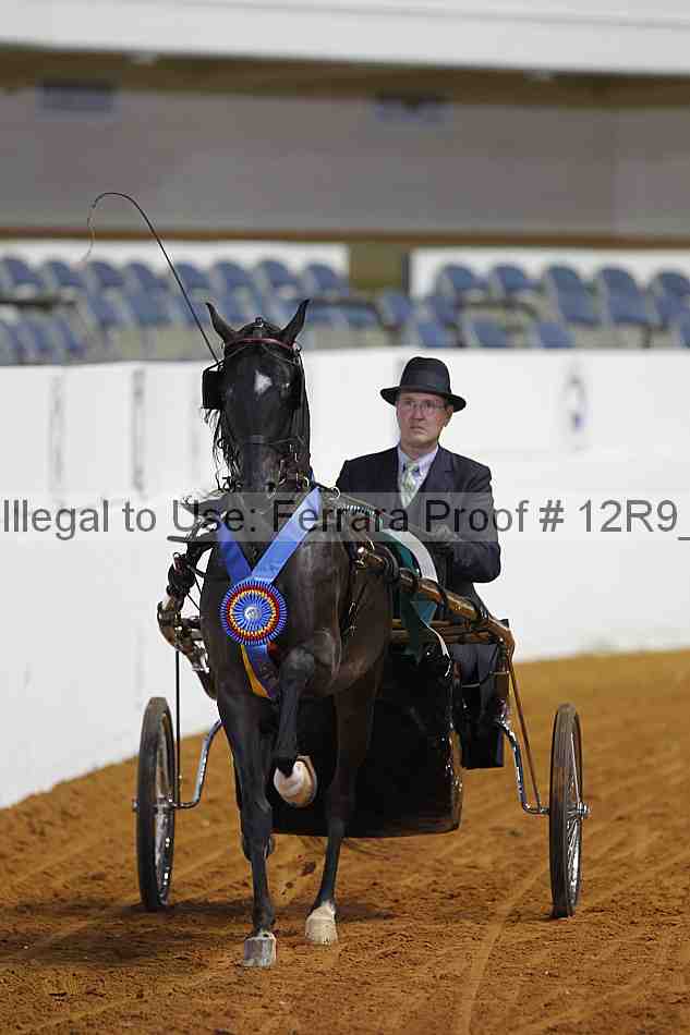 Proof 12r9_2998
