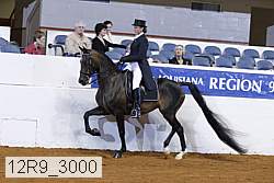 12r9_3000 proof