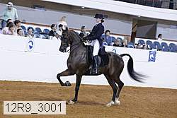 12r9_3001 proof