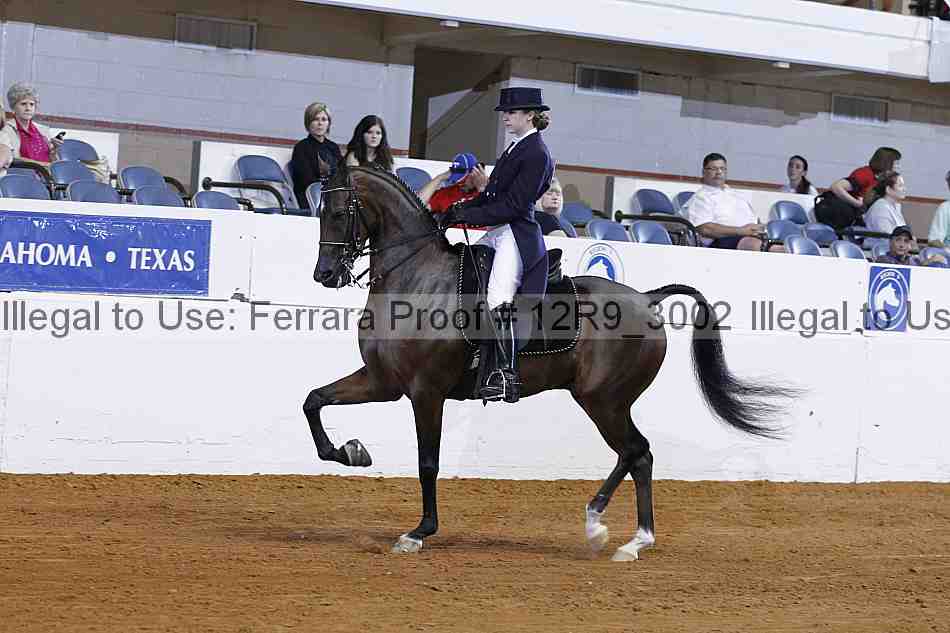 Proof 12r9_3002