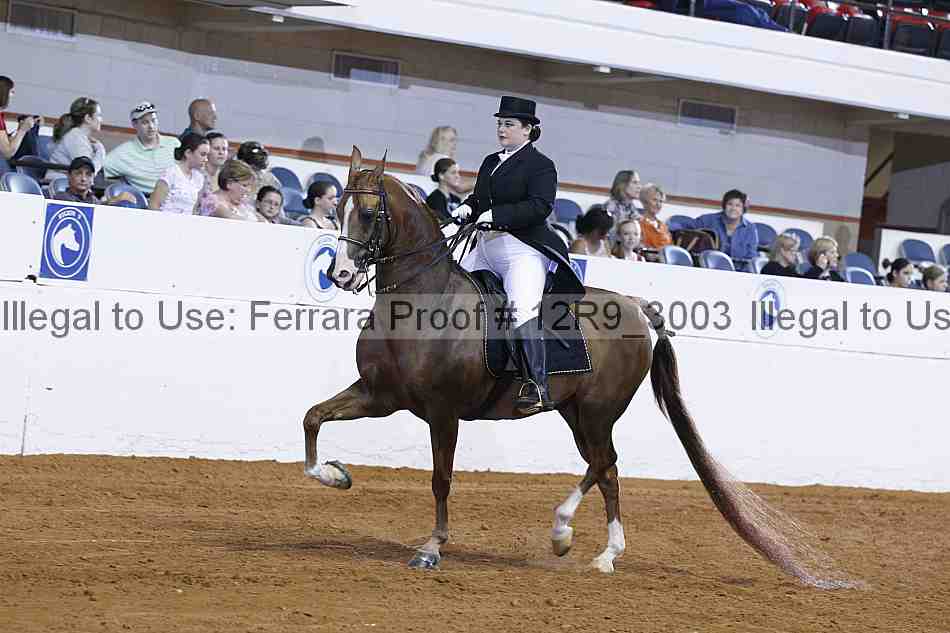 Proof 12r9_3003