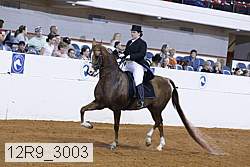 12r9_3003 proof