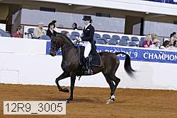 12r9_3005 proof