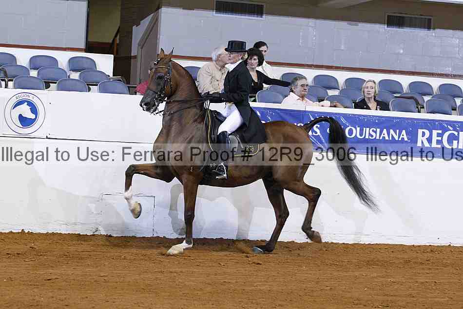 Proof 12r9_3006