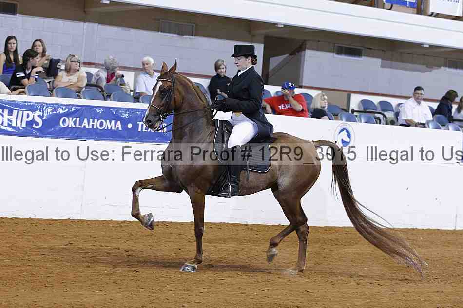 Proof 12r9_3015