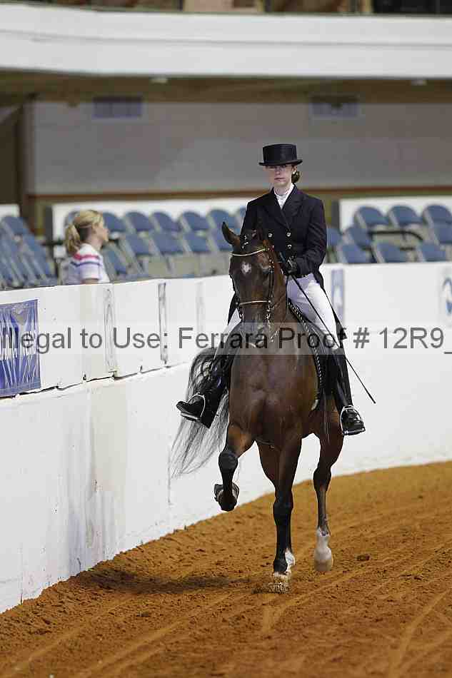 Proof 12r9_3016