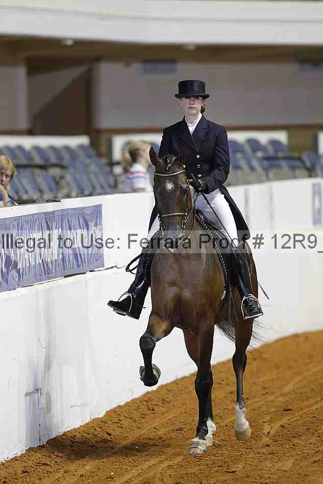Proof 12r9_3018