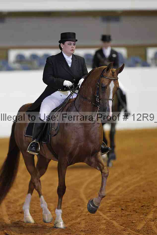 Proof 12r9_3019