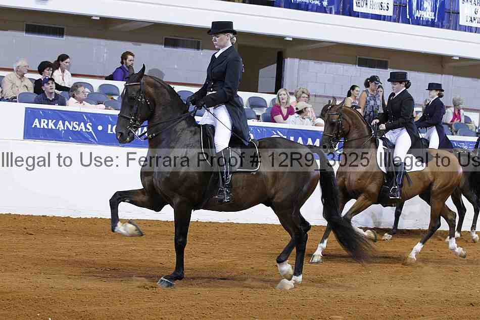 Proof 12r9_3025