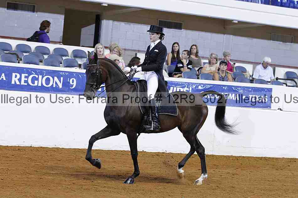 Proof 12r9_3027