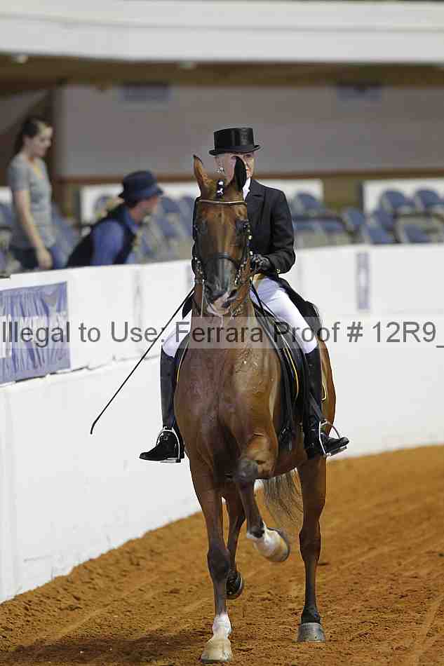 Proof 12r9_3028