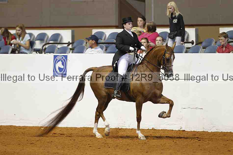 Proof 12r9_3038