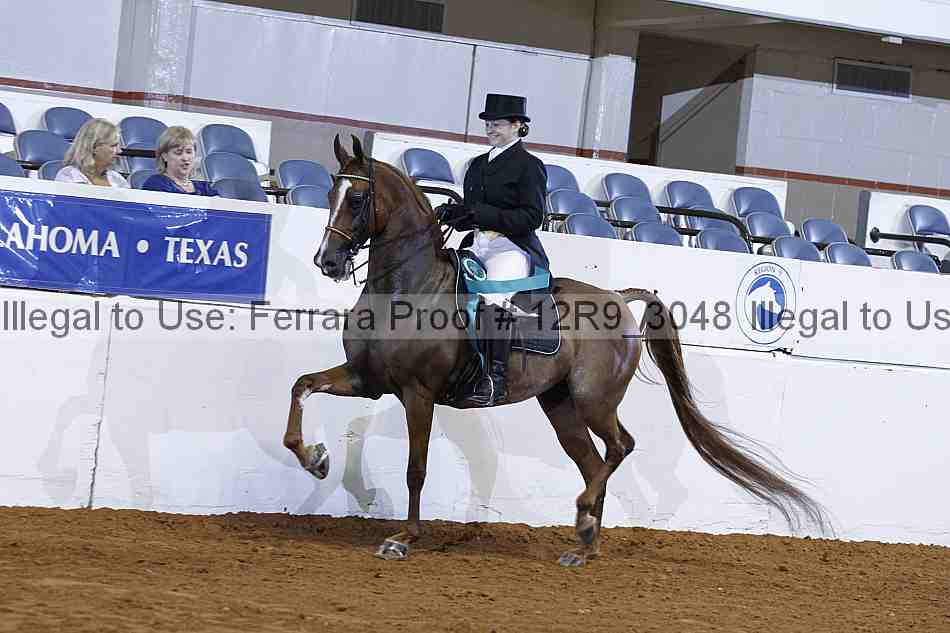 Proof 12r9_3048