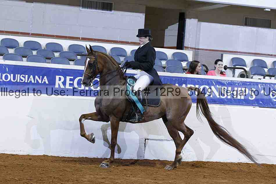 Proof 12r9_3049