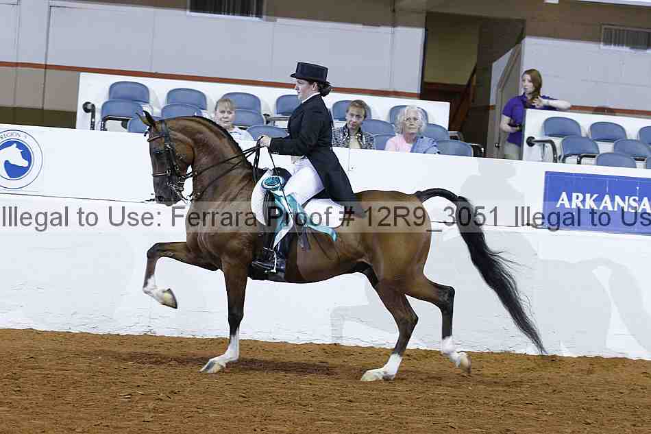 Proof 12r9_3051