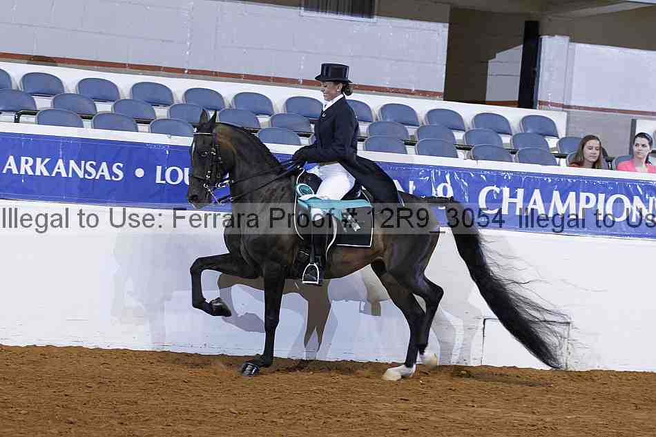 Proof 12r9_3054