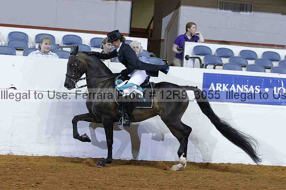 Proof 12r9_3055