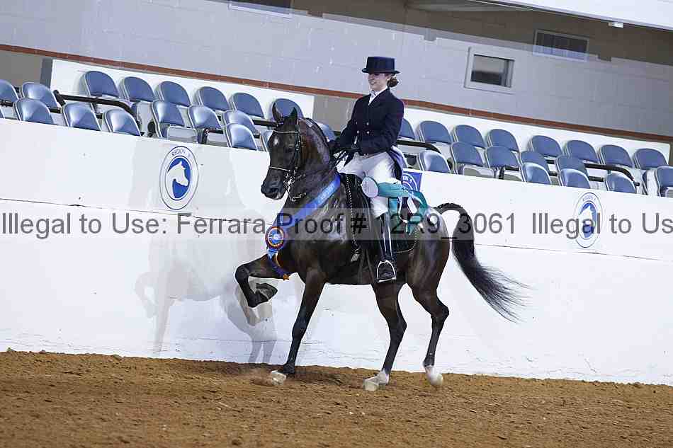 Proof 12r9_3061