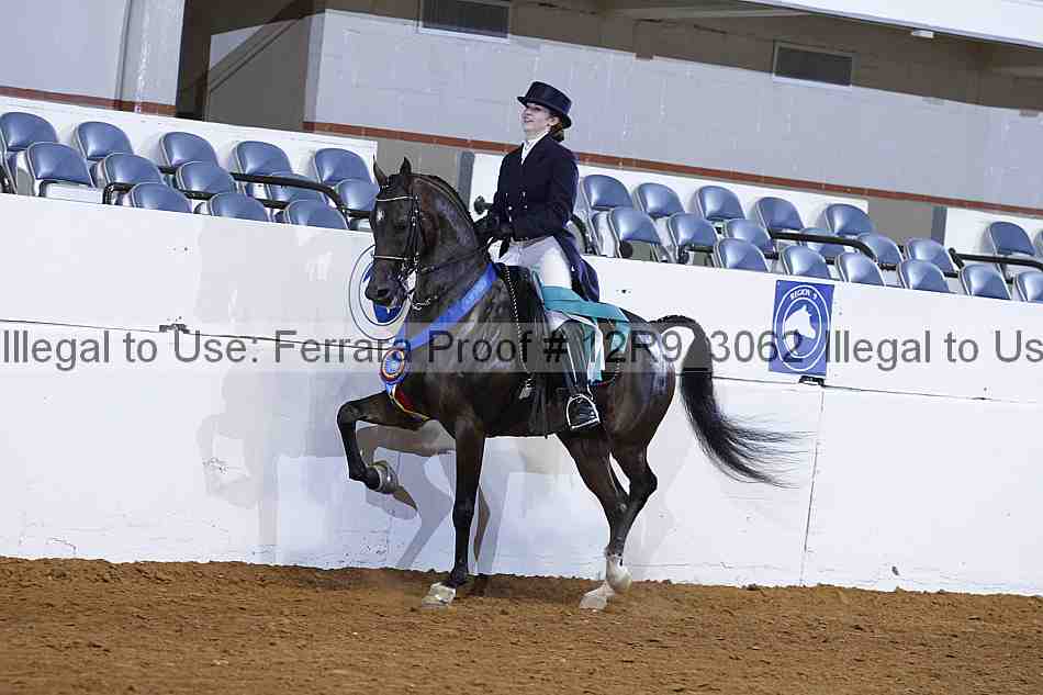 Proof 12r9_3062