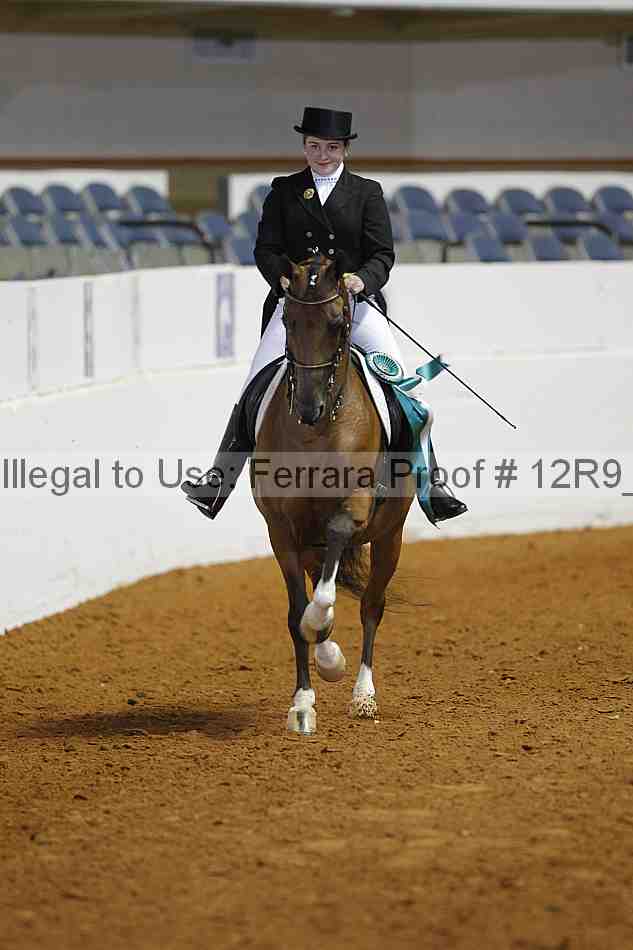 Proof 12r9_3063