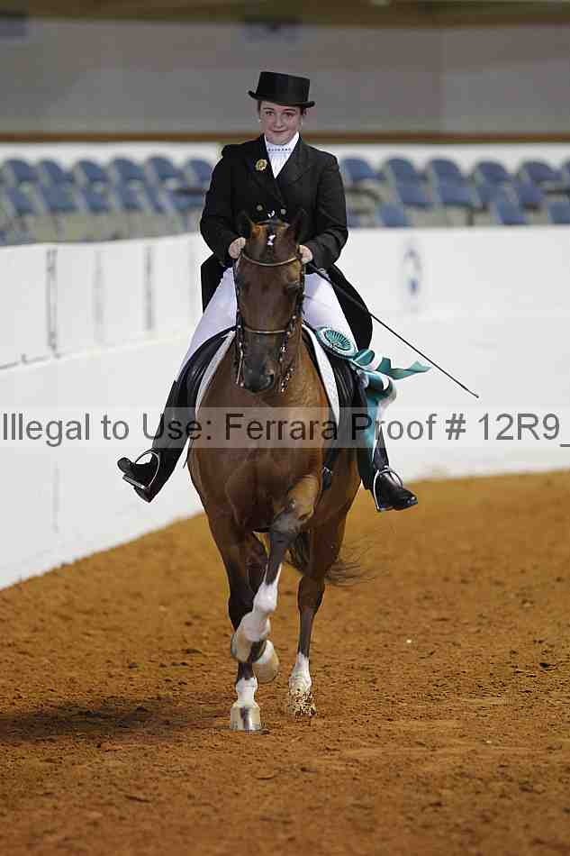 Proof 12r9_3064