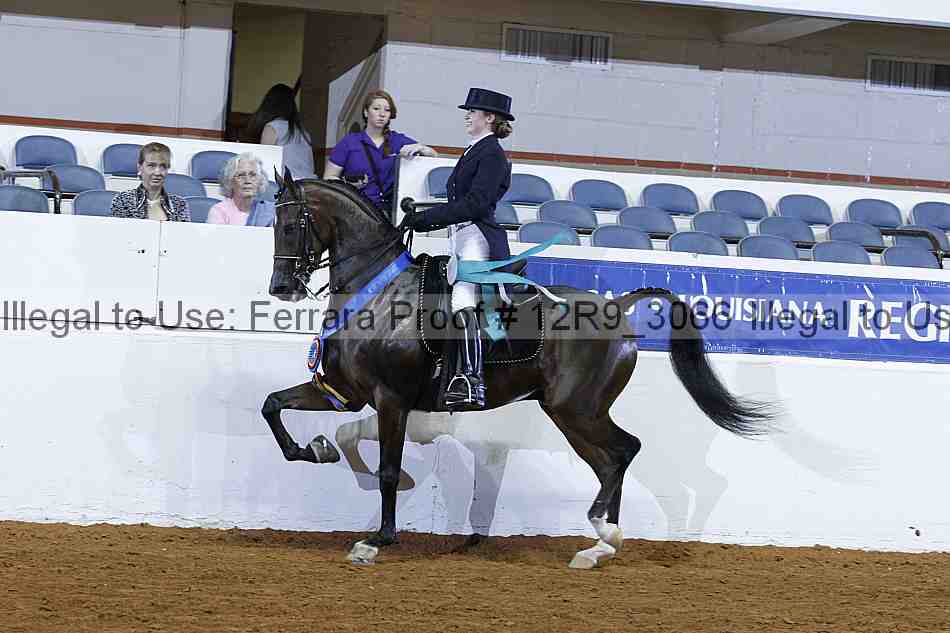 Proof 12r9_3066