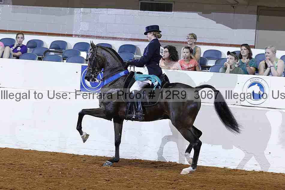 Proof 12r9_3067