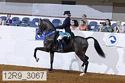 12r9_3067 proof