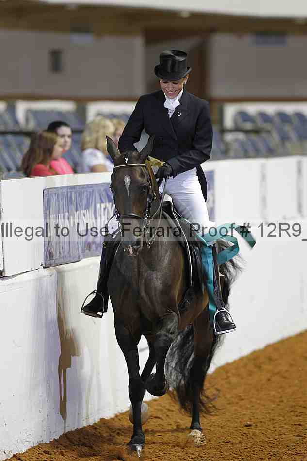 Proof 12r9_3069