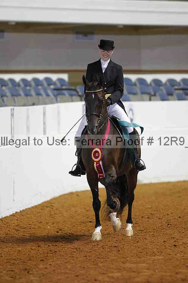Proof 12r9_3070