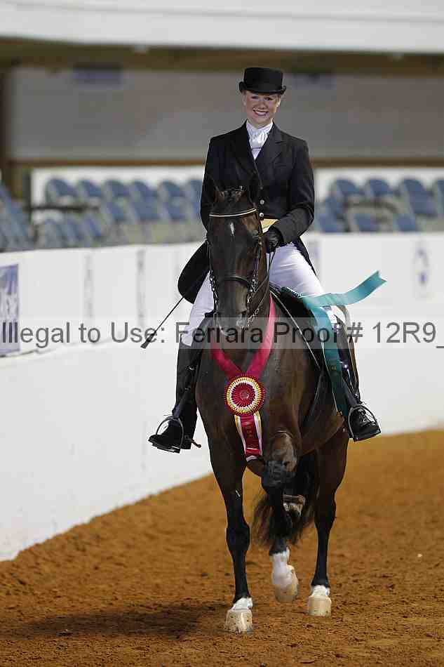 Proof 12r9_3071