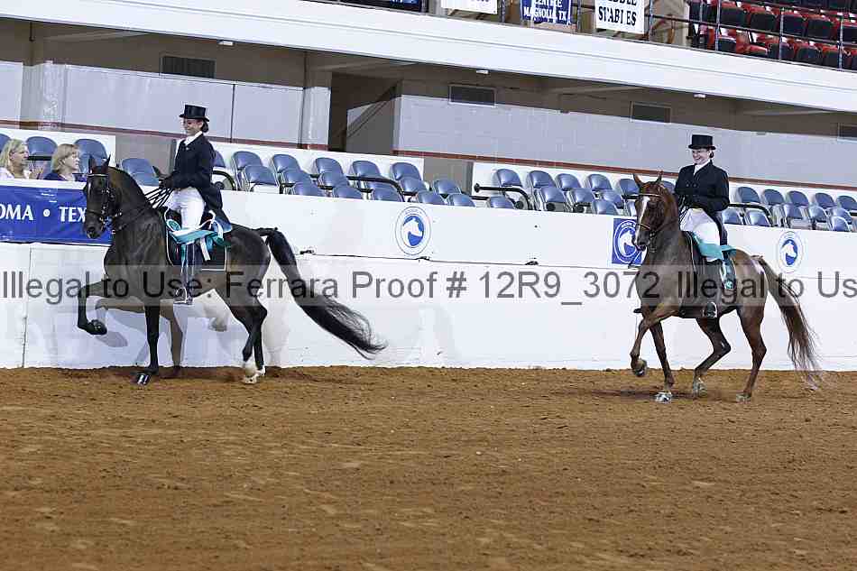 Proof 12r9_3072