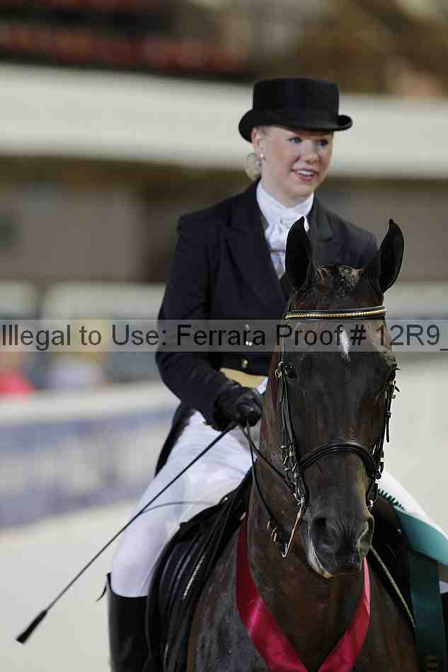 Proof 12r9_3073