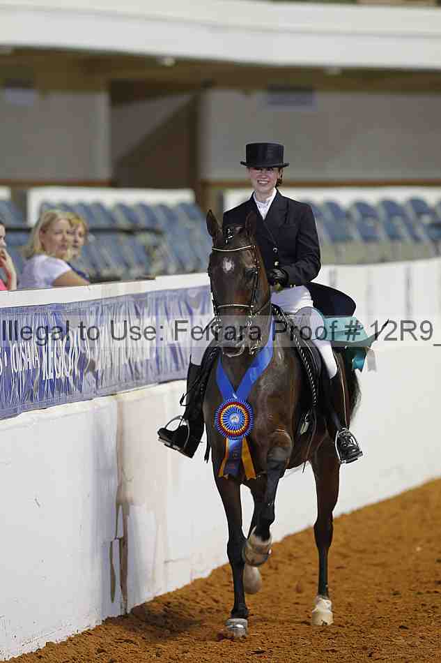 Proof 12r9_3075