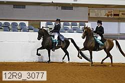 12r9_3077 proof