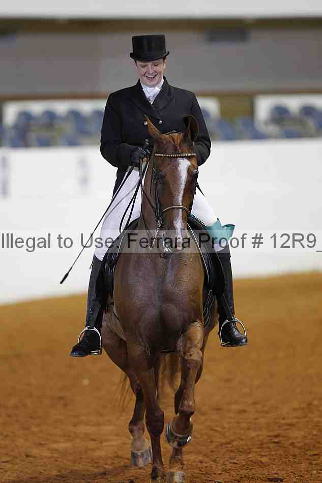 Proof 12r9_3078