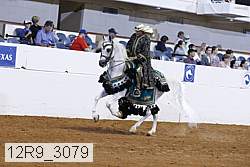 12r9_3079 proof