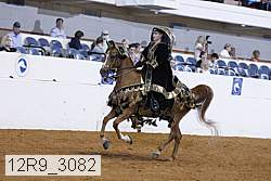 12r9_3082 proof
