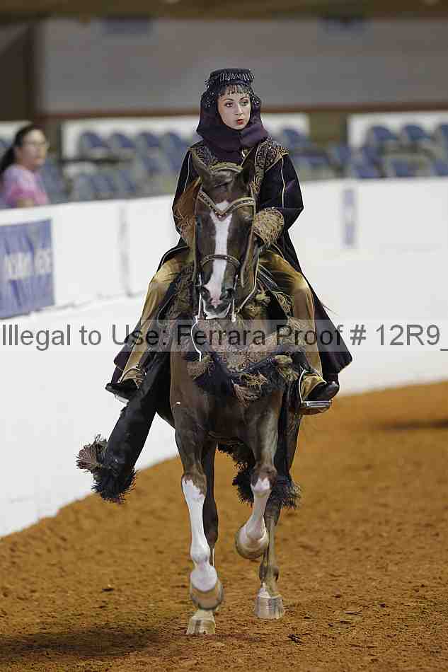 Proof 12r9_3095