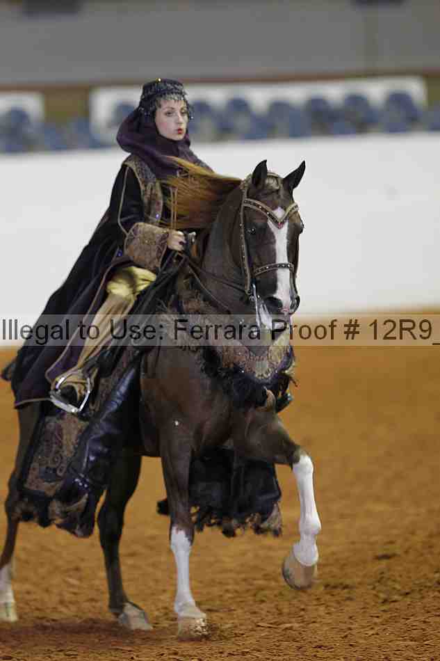 Proof 12r9_3099