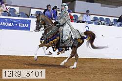 12r9_3101 proof