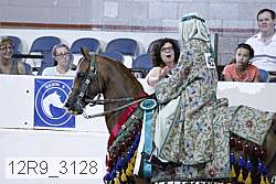 12r9_3128 proof
