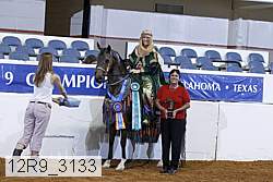 12r9_3133 proof