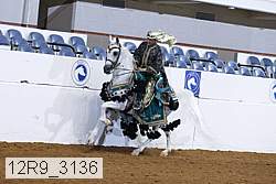 12r9_3136 proof